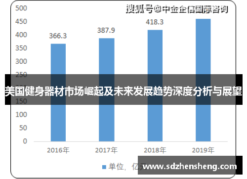 美国健身器材市场崛起及未来发展趋势深度分析与展望
