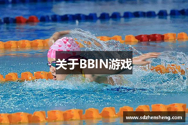关于BBIN游戏